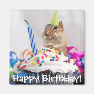chipmunk birthday celebration magnet