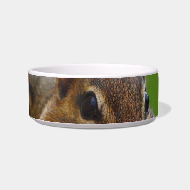 chipmunk bowl (Front)