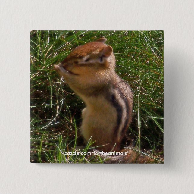 Chipmunk -Button 2 Inch Square Button (Front)