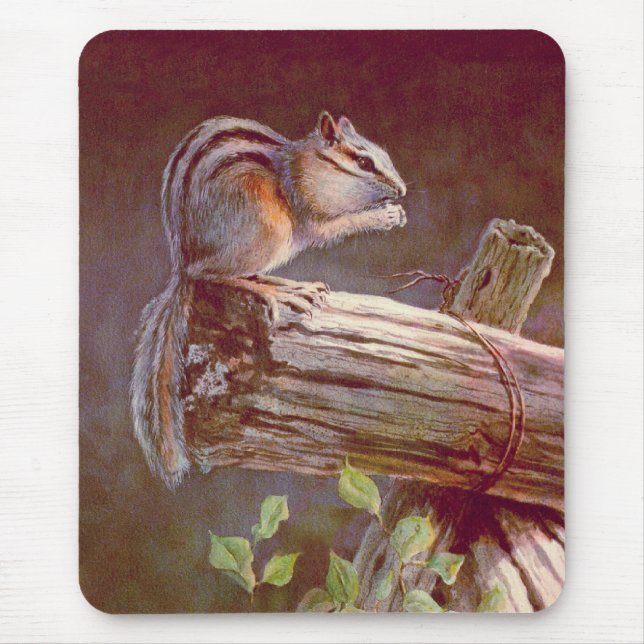 CHIPMUNK by SHARON SHARPE Mouse Pad (Front)