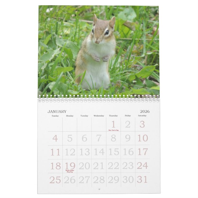 Chipmunk Calendar (Jan 2026)