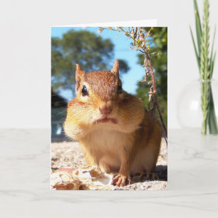 Chipmunk Card