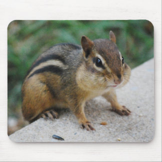 Chipmunk Cheeks Mouse Pad