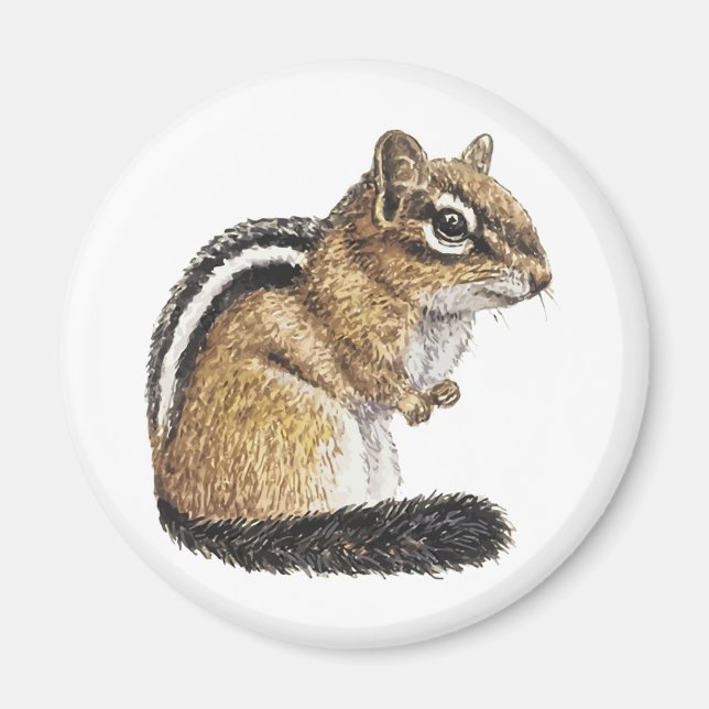 Chipmunk Cutie Magnet (Front)