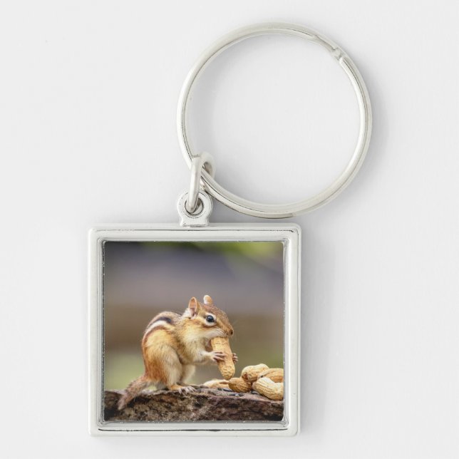 Chipmunk eating a peanut keychain (Front)
