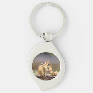 Chipmunk eating a peanut keychain