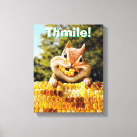 Chipmunk Eating Corn
