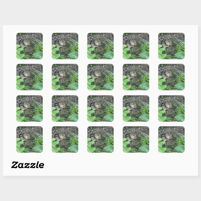 Chipmunk Eating Seeds In The Garden  Square Sticker (Sheet)