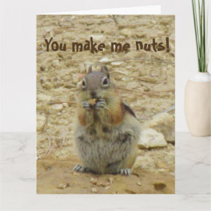 Chipmunk Funny Card