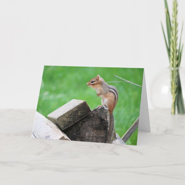 Chipmunk Greeting Card (Front)