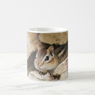 Chipmunk in a wood pile coffee mug