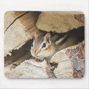 Chipmunk in a wood pile mouse pad