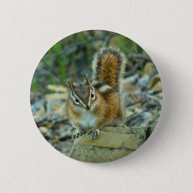 Chipmunk in Glacier National Park 2 Inch Round Button (Front)