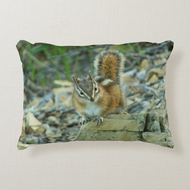 Chipmunk in Glacier National Park Accent Pillow (Front)