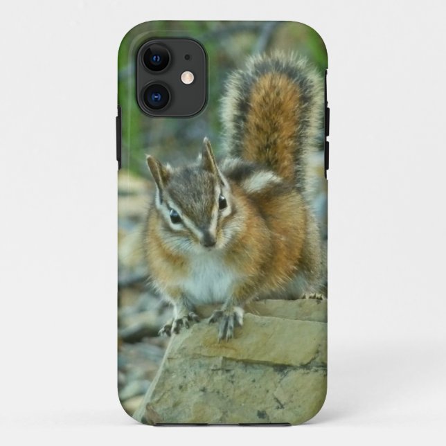 Chipmunk in Glacier National Park Case-Mate iPhone Case (Back)
