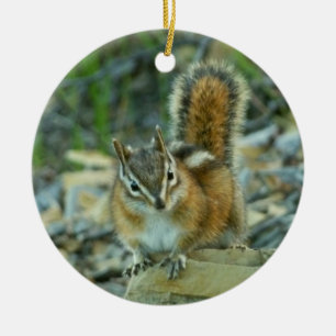Chipmunk in Glacier National Park Ceramic Ornament