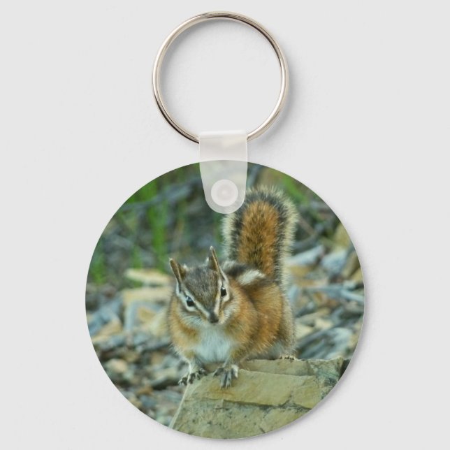 Chipmunk in Glacier National Park Keychain (Front)