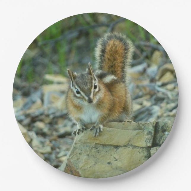 Chipmunk in Glacier National Park Paper Plate (Front)