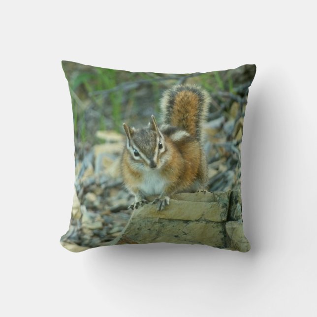 Chipmunk in Glacier National Park Throw Pillow (Front)