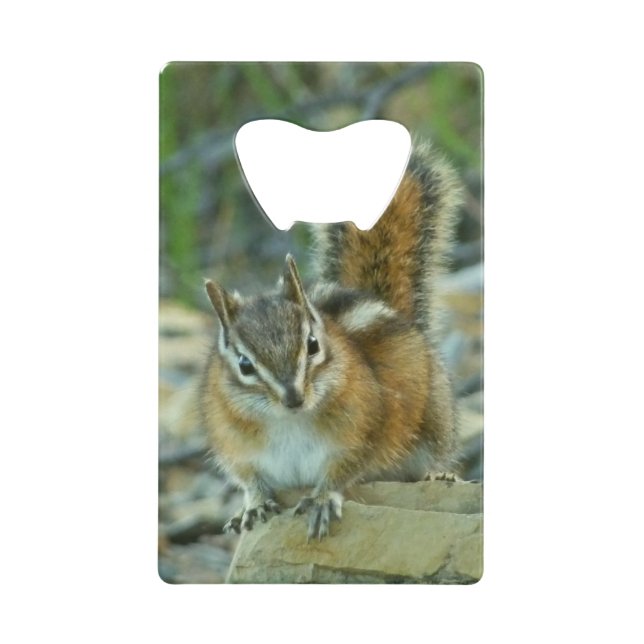 Chipmunk in Glacier National Park Wallet Bottle Opener (Front)
