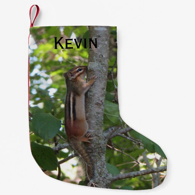 Chipmunk in the Woods Small Christmas Stocking (Front)