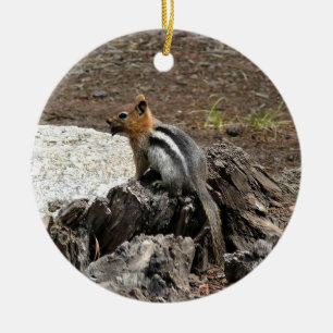 Chipmunk in Yosemite, California Ceramic Ornament