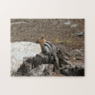 Chipmunk in Yosemite, California Jigsaw Puzzle