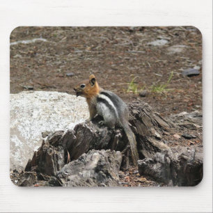 Chipmunk in Yosemite, California Mouse Pad