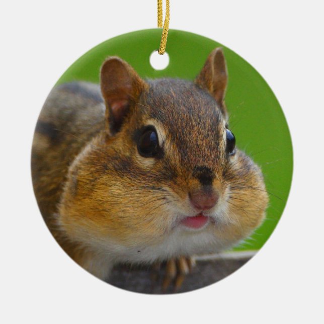 chipmunk is full ceramic ornament (Front)