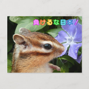 Chipmunk , JAPAN Support Postcard