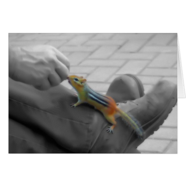 Chipmunk Lunch (Front Horizontal)