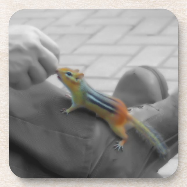 Chipmunk Lunch Coaster (Front)