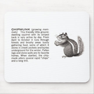 chipmunk mouse pad