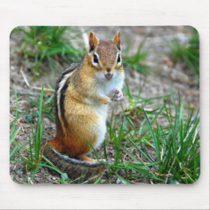 Chipmunk Mouse Pad