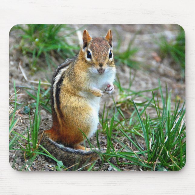 Chipmunk Mouse Pad (Front)