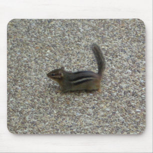 Chipmunk Mouse Pad