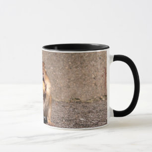 Chipmunk - Mug