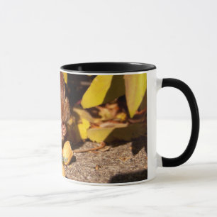 Chipmunk -Mug Mug