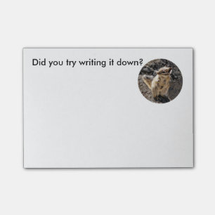 Chipmunk Notes