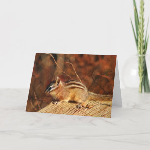 Chipmunk Occasional card