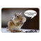 Chipmunk on a Diet Photo