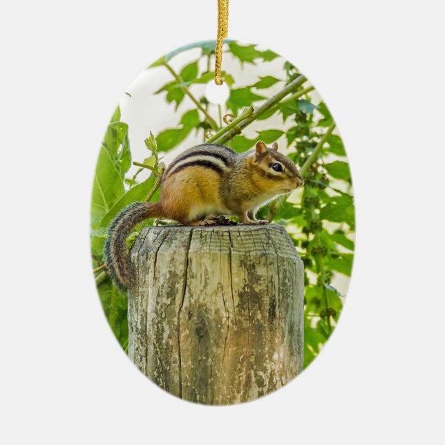 Chipmunk on a Fence Post Ceramic Ornament (Front)