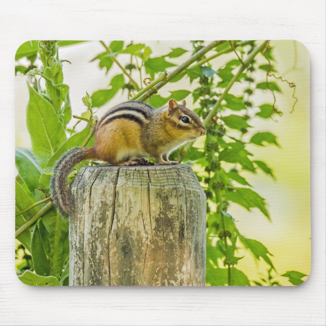 Chipmunk on a Fence Post Mouse Pad (Front)