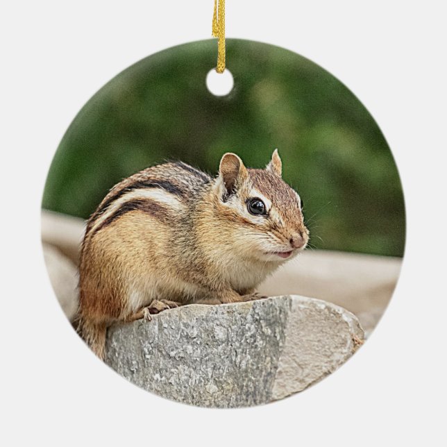 Chipmunk on a rock ceramic ornament (Back)