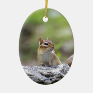 Chipmunk on a rock ceramic ornament