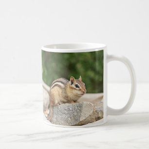 Chipmunk on a rock coffee mug