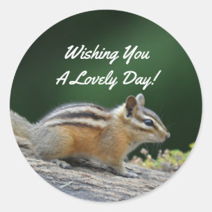 Chipmunk On Log Classic Round Sticker