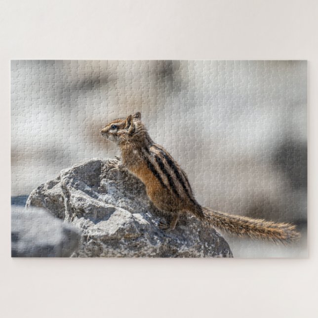 Chipmunk on the Rocks – Wildlife Snapshot Jigsaw Puzzle (Horizontal)