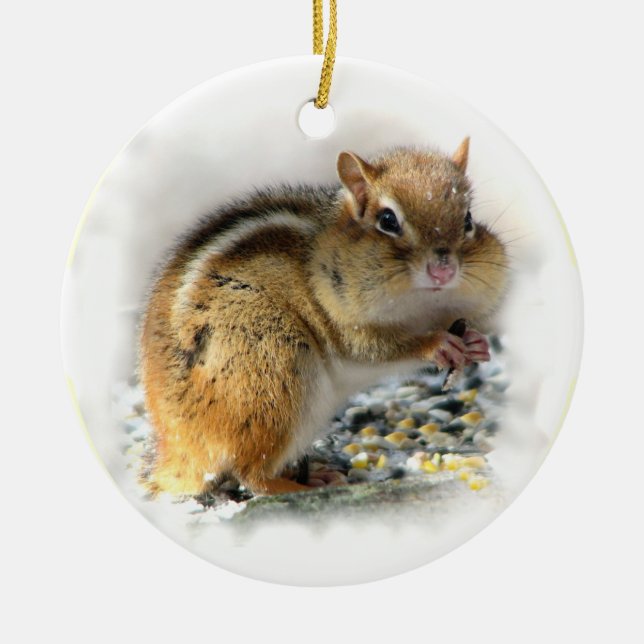 Chipmunk Ornament (Front)