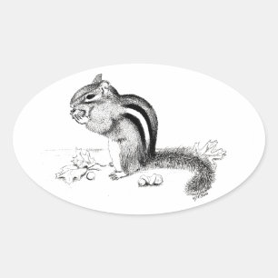 Chipmunk Oval Sticker